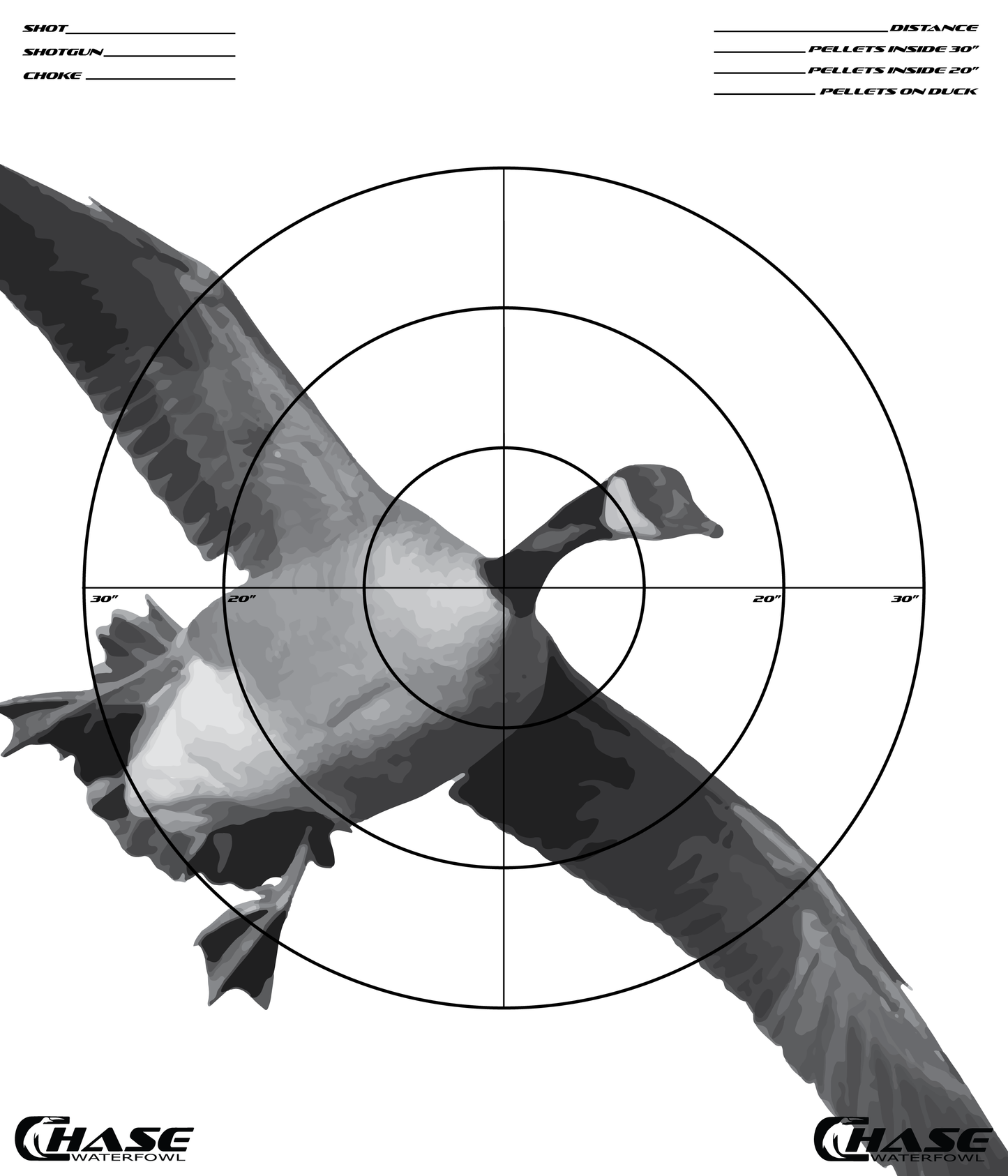 Pattern Target (Pack of 5)