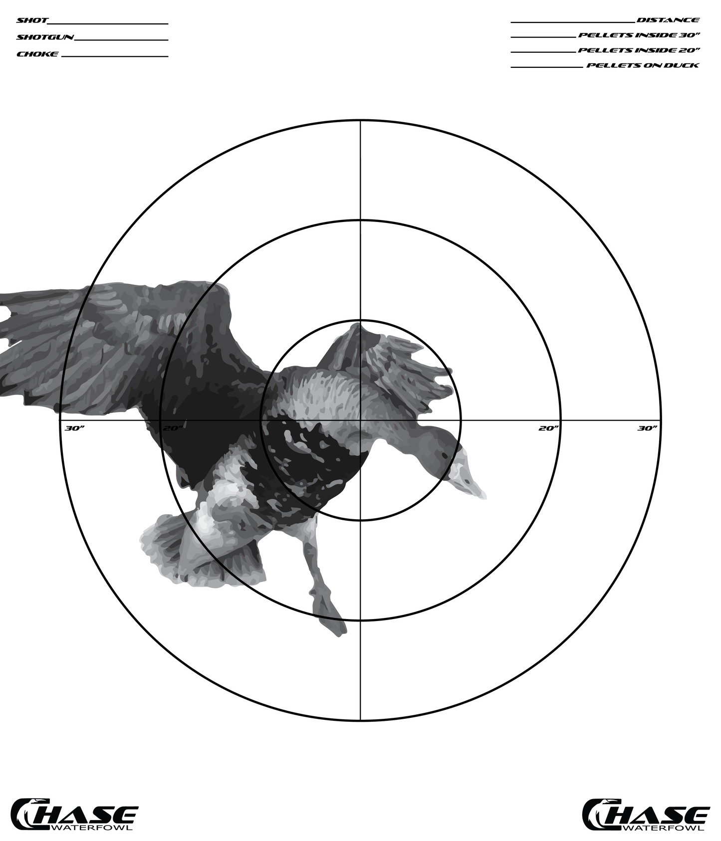 Pattern Target (Pack of 5)