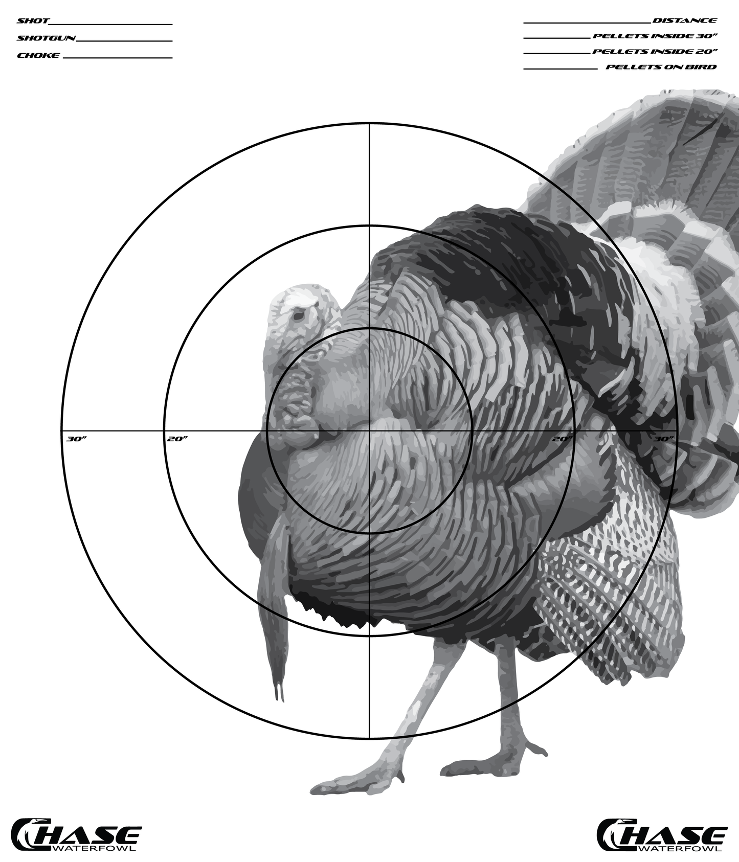 Pattern Target (Pack of 5)