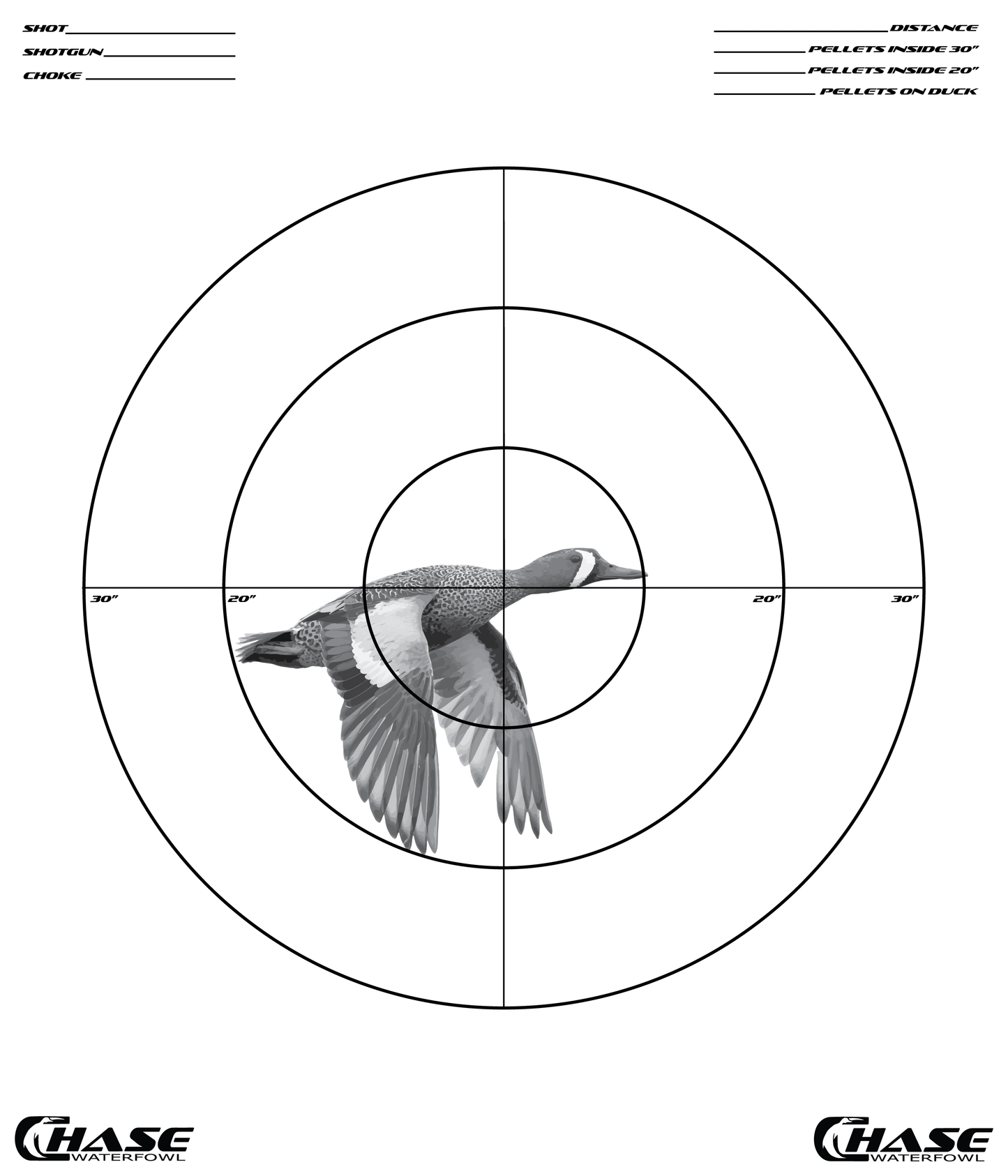 NEW Pattern Target (Pack of 5)