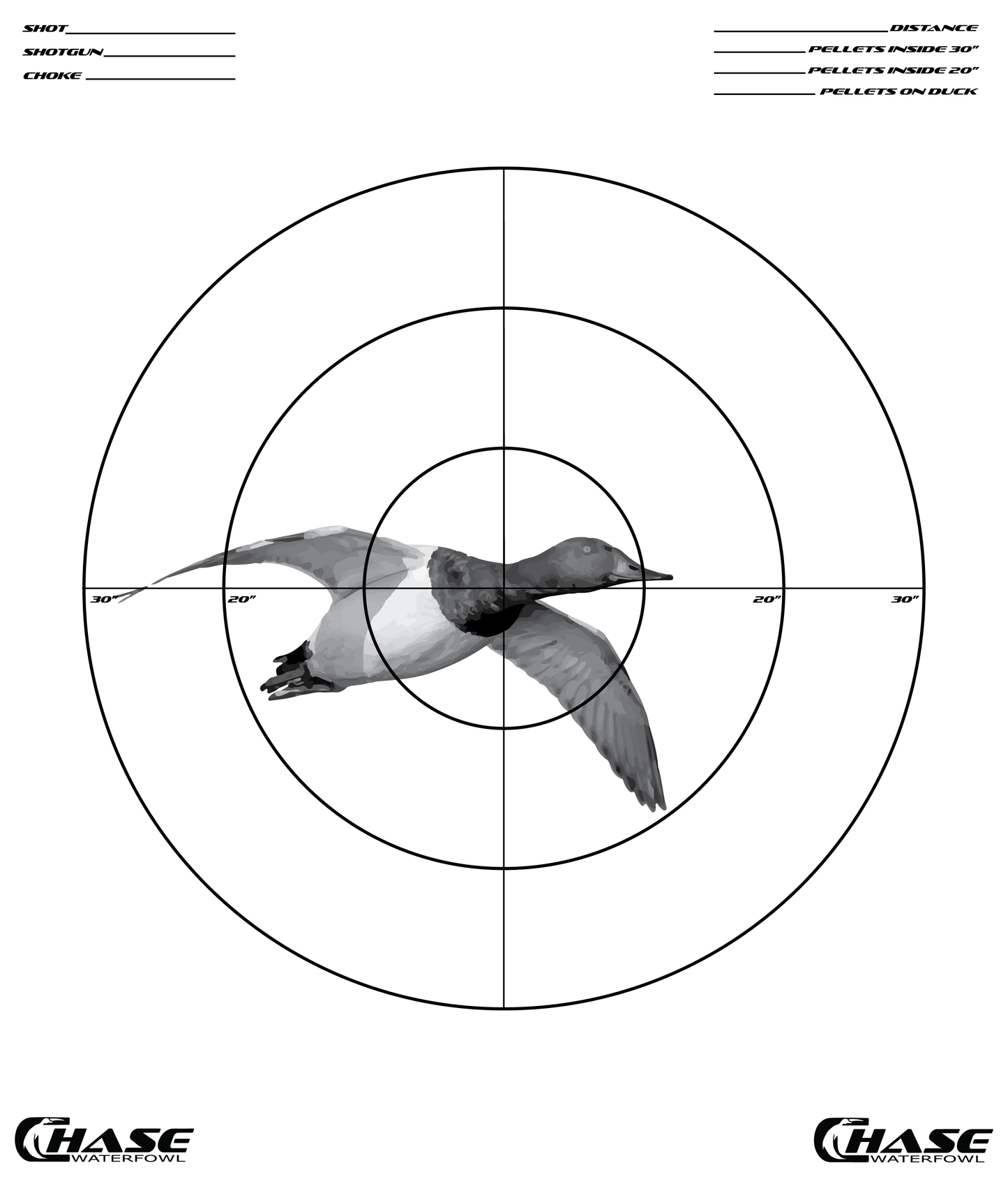 NEW Pattern Target (Pack of 5)