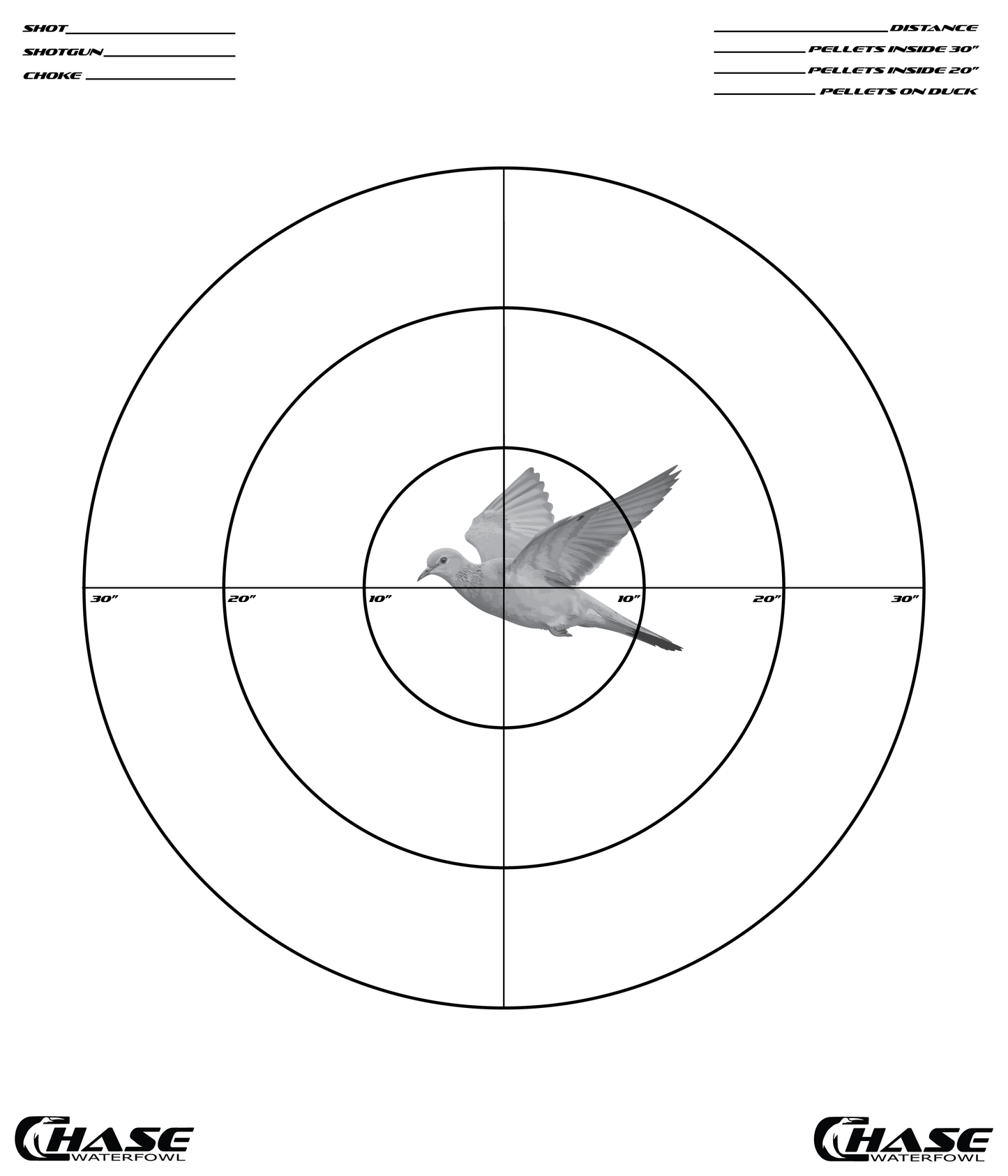 Pattern Target (Pack of 5)
