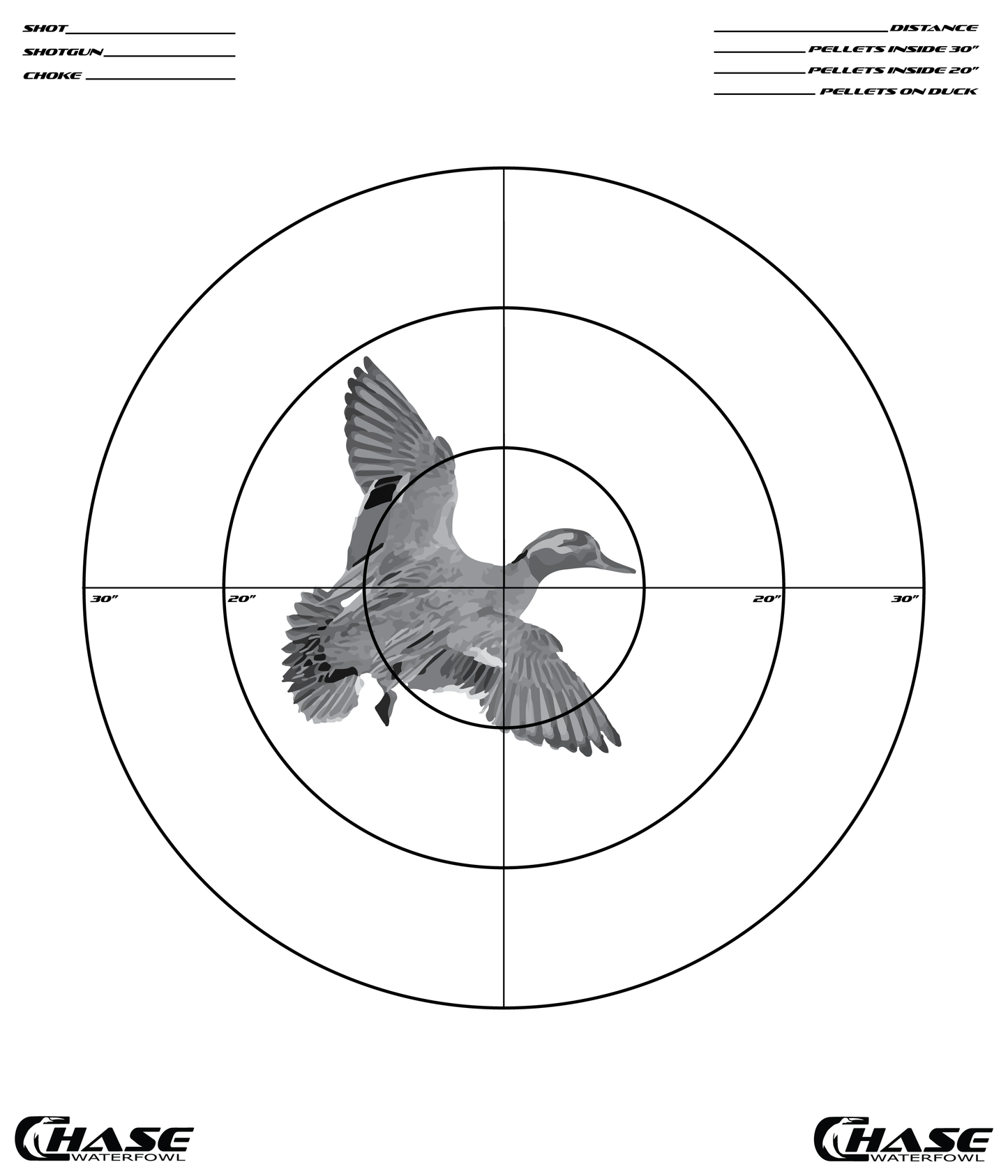 NEW Pattern Target (Pack of 5)