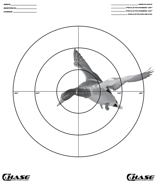 NEW Pattern Target (Pack of 5)