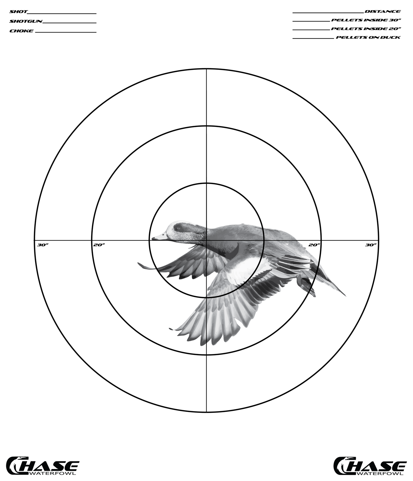 NEW Pattern Target (Pack of 5)