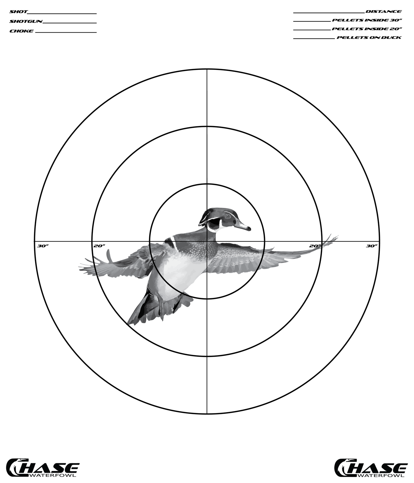 NEW Pattern Target (Pack of 5)